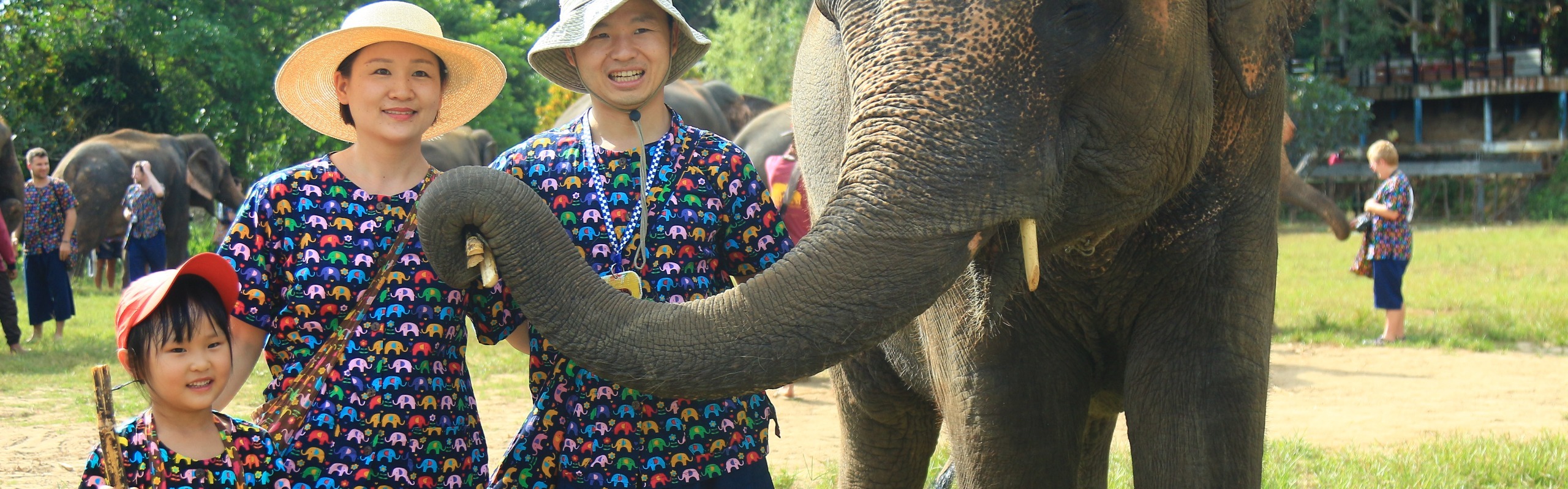 How Long to Spend in Thailand: Itinerary for 10 Days, 2, 3 Weeks